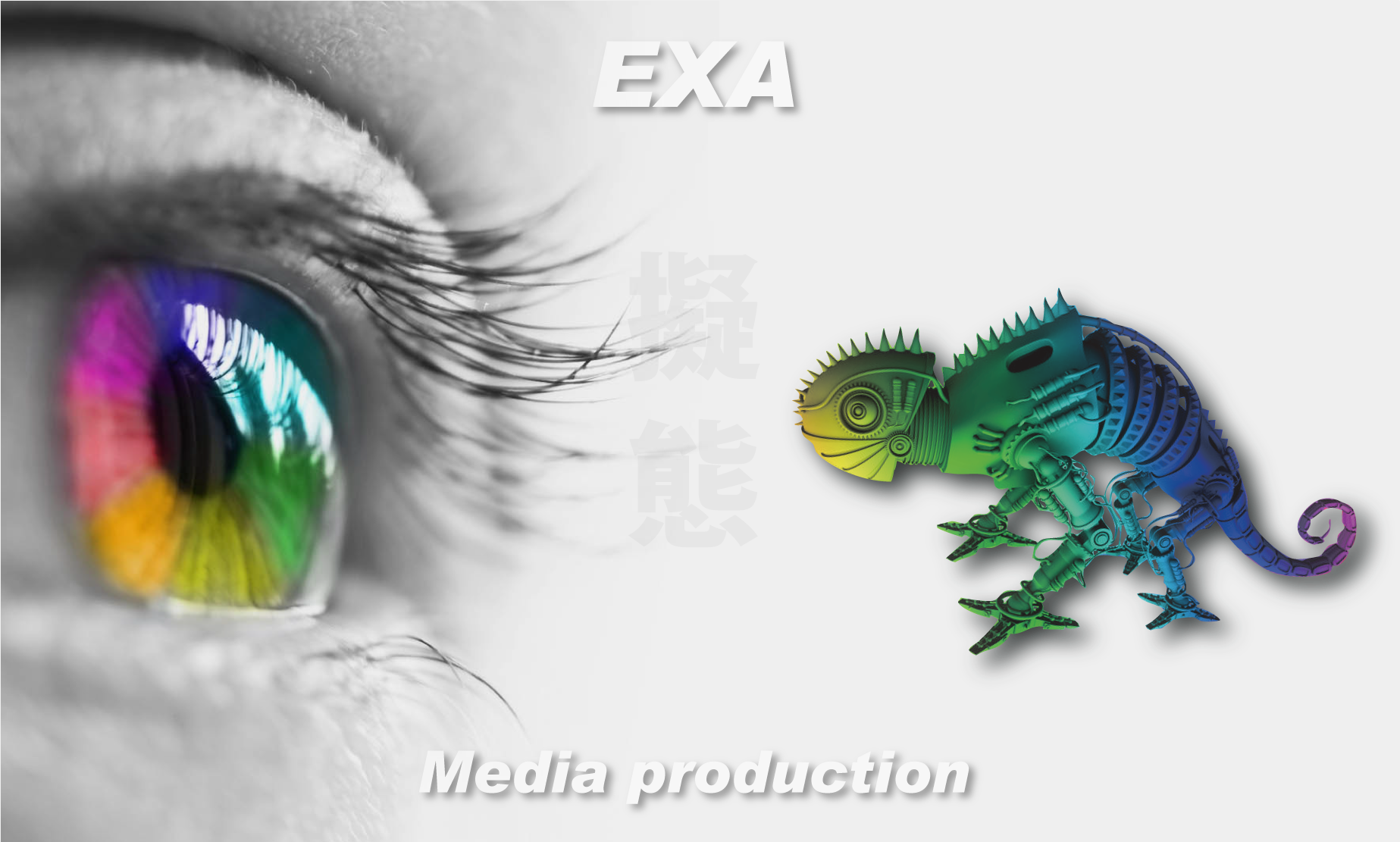 メディアプロダクションexa