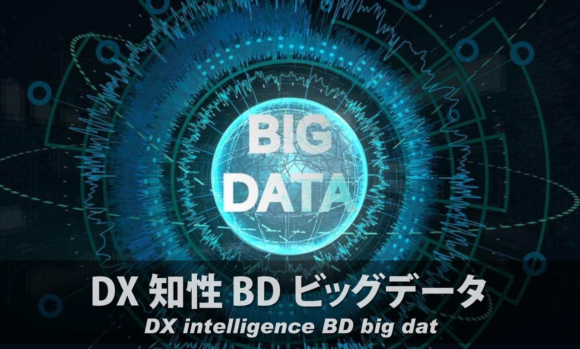 DX知性 BD ﾋﾞｯｸﾞﾃﾞｰﾀ
