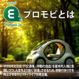 交通権のプロモビ
